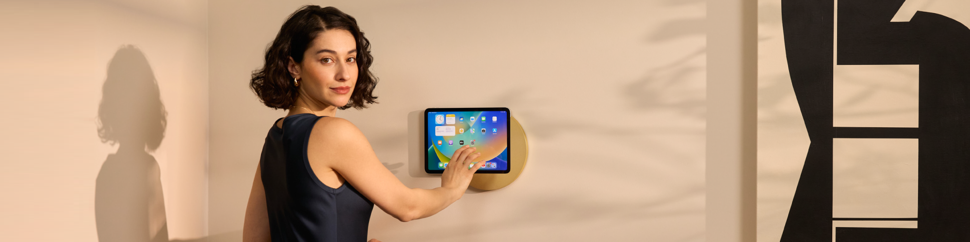 Displine - Sunset Series | iPad wall mounts and iPad stands