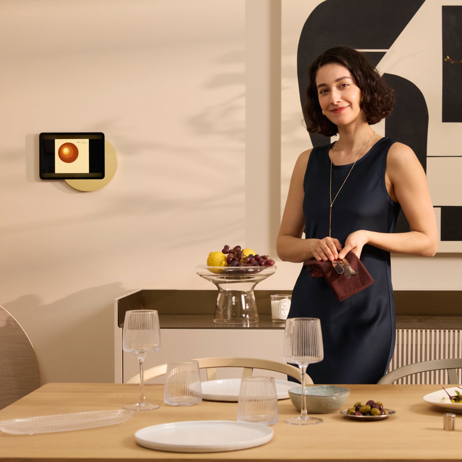Displine wall mounts and stands for hospitality