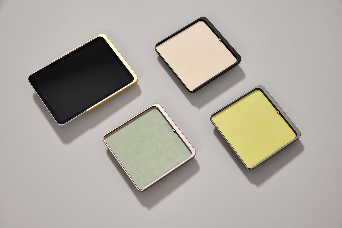 Displine Dame Wall Home 2.0 for iPad With German Design Award
