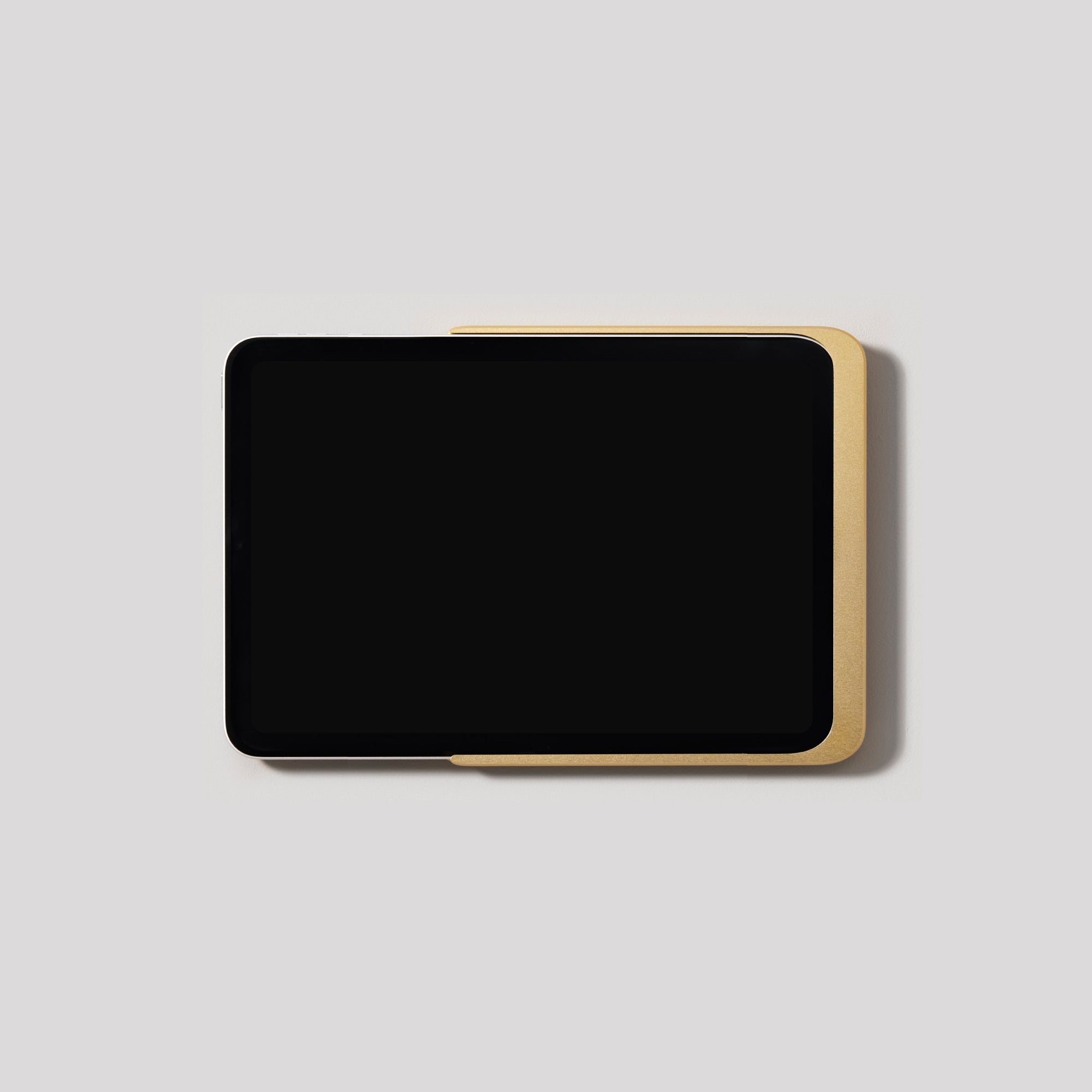 Dame Wall Home 2.0 for iPad mini 8.3" ProA17